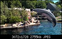 Nokia Lumia 930 - Bilder mit der Kamera und Meinungen zur Qualität-wp_20150711_11_05_27_rich.jpg