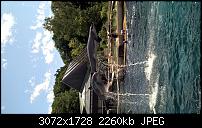 Nokia Lumia 930 - Bilder mit der Kamera und Meinungen zur Qualität-wp_20150711_11_05_42_rich.jpg