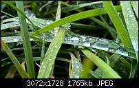 Nokia Lumia 930 - Bilder mit der Kamera und Meinungen zur Qualität-wp_20151018_13_19_27_pro.jpg