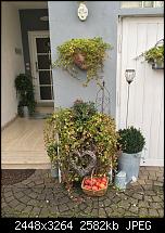 Kamera Vergleich: Lumia 920 vs. 930 vs. 1020 vs. iPhone 6+-img_0022.jpg