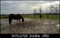 Nokia Lumia Denim Update Diskussionsthread-wp_20141219_11_50_43_rich.jpg