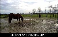 Nokia Lumia Denim Update Diskussionsthread-wp_20141219_11_50_50_pro.jpg