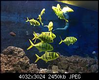 Kleiner Kamera Vergleich Lumia 1020 - 950 XL - 930 & iPhone SE-img_0145.jpg