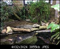 Kleiner Kamera Vergleich Lumia 1020 - 950 XL - 930 & iPhone SE-img_0146.jpg