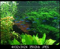 Kleiner Kamera Vergleich Lumia 1020 - 950 XL - 930 & iPhone SE-img_0147.jpg