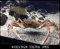 Kleiner Kamera Vergleich Lumia 1020 - 950 XL - 930 & iPhone SE-img_0151.jpg