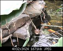 Kleiner Kamera Vergleich Lumia 1020 - 950 XL - 930 & iPhone SE-img_0153.jpg