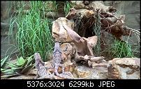 Kleiner Kamera Vergleich Lumia 1020 - 950 XL - 930 &amp; iPhone SE-wp_20160423_11_25_28_pro.jpg