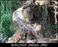 Kleiner Kamera Vergleich Lumia 1020 - 950 XL - 930 & iPhone SE-img_0154.jpg