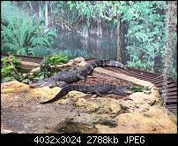 Kleiner Kamera Vergleich Lumia 1020 - 950 XL - 930 & iPhone SE-img_0155.jpg