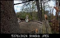 Kleiner Kamera Vergleich Lumia 1020 - 950 XL - 930 &amp; iPhone SE-wp_20160423_11_48_46_pro_li.jpg