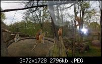 Kleiner Kamera Vergleich Lumia 1020 - 950 XL - 930 &amp; iPhone SE-wp_20160423_11_44_00_pro.jpg