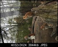 Kleiner Kamera Vergleich Lumia 1020 - 950 XL - 930 & iPhone SE-img_0158.jpg