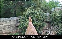 Kleiner Kamera Vergleich Lumia 1020 - 950 XL - 930 &amp; iPhone SE-wp_20160423_12_03_53_pro.jpg