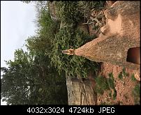 Kleiner Kamera Vergleich Lumia 1020 - 950 XL - 930 & iPhone SE-img_0159.jpg