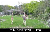 Kleiner Kamera Vergleich Lumia 1020 - 950 XL - 930 &amp; iPhone SE-wp_20160423_12_15_15_pro_li.jpg