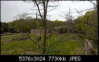 Kleiner Kamera Vergleich Lumia 1020 - 950 XL - 930 &amp; iPhone SE-wp_20160423_12_17_11_pro_li.jpg