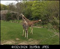 Kleiner Kamera Vergleich Lumia 1020 - 950 XL - 930 & iPhone SE-img_0161.jpg