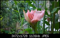 Kleiner Kamera Vergleich Lumia 1020 - 950 XL - 930 & iPhone SE-wp_20160423_16_16_45_pro.jpg