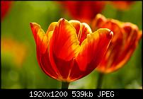 XBox One - welchen Hintergrund nutzt du auf deiner Box?-cz-olwp21.jpg