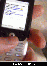 Geht der MSN messenger auf dem motorola v3-java_emsn.gif
