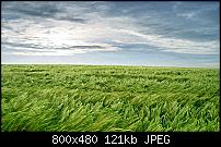 Motorola Milestone Wallpaper / Hintergrundbilder-n900-800x480-wallpapers-04.jpg