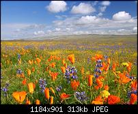 Motorola Milestone Wallpaper / Hintergrundbilder-carrizo-plain-california.jpg