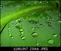 Motorola Milestone Wallpaper / Hintergrundbilder-kudtlk.jpg