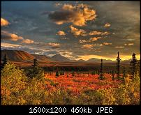 Hintergrundbild auswählen-hd-nature-wallpaper-3.jpg