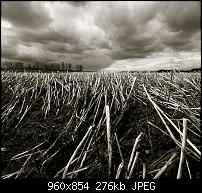 Motorola Milestone Wallpaper / Hintergrundbilder-dramatic-sky.jpg