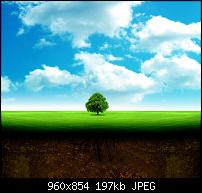 Motorola Milestone Wallpaper / Hintergrundbilder-wall_008.jpg