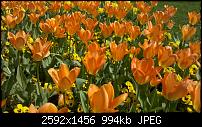 Qualität der Fotos / Kamera beim Milestone?-2010-04-19_11-38-11_258_stuttgart.jpg