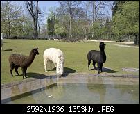 Qualität der Fotos / Kamera beim Milestone?-2010-04-19_12-43-49_634_stuttgart.jpg