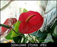 Fotoqualität des Motorola Moto G (3. Gen.)-img_20151023_110928.jpg