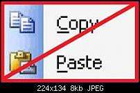 Copy &amp; Paste wirklich ein WP7 Killer?-copy-20and-20paste.jpg