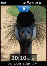 Wieder neue Windows Mobile 6.5 Screenshots-5.jpg