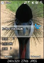 Mehr Windows Mobile 6.5 Screenshots-panels.jpg