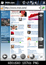 Windows Mobile 6.5 Überblick & Videos-wm65_ie.png