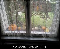 Nokia 8 – Qualität der Fotos-img_20170916_080520.jpg