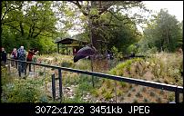 Nokia Lumia 1020 - Fotoqualität-wp_20130922_14_18_44_pro.jpg