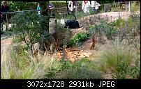 Nokia Lumia 1020 - Fotoqualität-wp_20130922_14_19_53_pro.jpg