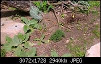 Nokia Lumia 1020 - Fotoqualität-wp_20130922_14_27_10_pro.jpg