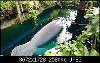 Nokia Lumia 1020 - Fotoqualität-wp_20130922_14_30_22_pro.jpg