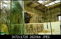 Nokia Lumia 1020 - Fotoqualität-wp_20130922_16_37_15_pro.jpg