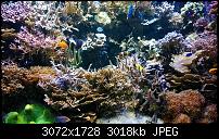 Nokia Lumia 1020 - Fotoqualität-wp_20130922_16_40_10_pro.jpg