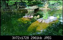 Nokia Lumia 1020 - Fotoqualität-wp_20130922_17_12_56_pro.jpg