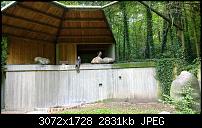 Nokia Lumia 1020 - Fotoqualität-wp_20130922_17_32_06_pro.jpg