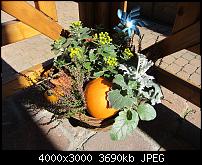 Nokia Lumia 1020 - Fotoqualität-bild-1-sx230.jpg