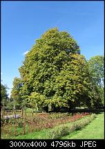 Nokia Lumia 1020 - Fotoqualität-bild-2-sx230.jpg