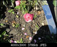 Nokia Lumia 1020 - Fotoqualität-bild-8-sx230.jpg